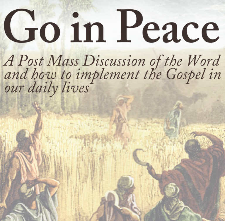 Post Mass Discussion