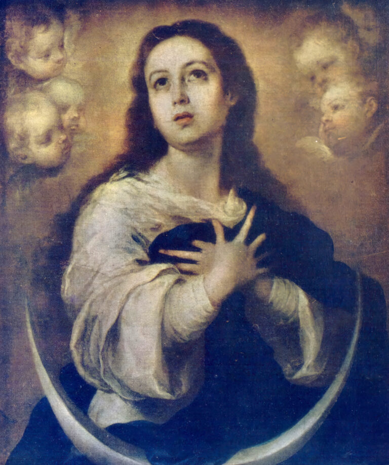 December 8th | Solemnity of the Immaculate Conception of the Blessed Virgin Mary